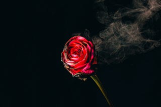I Love Too Much (Poetry)