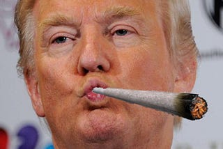 TRUMP on Weed