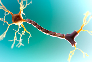 The Secret to Rebuilding Myelin May Be Simpler Than We Think