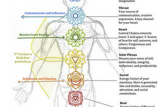 What are the different chakras and their importance?