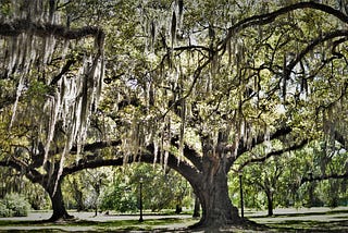 Louisiana Keeps Finding Me