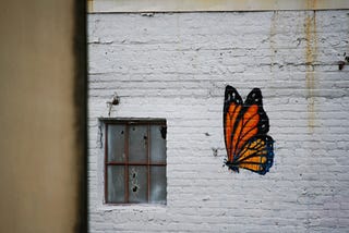A beautiful orange striped butterfly sketched on a blank white wall.