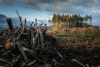 The Climate Change Panic is Damaging Society.