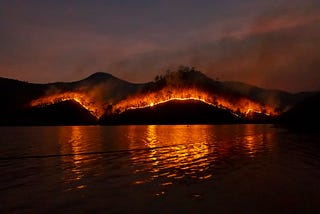 This Book Will Change How You Feel About Climate Change