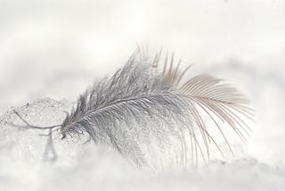 a feather on ice