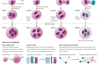 Genomic Complexity or Variation in Drastic Fitness Changes