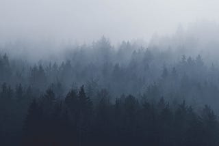 What is “fibro fog”?