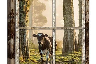 farmhouse-cow-wall-art-funny-forest-cow-cattle-pictures-wall-decor-nature-woodland-animal-canvas-pri-1