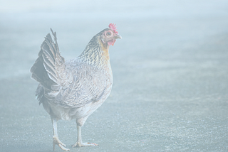 The Scientific Solution to the Chicken and the Egg: How to Apply it to Business