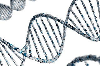 The DNA Strand of Information Systems