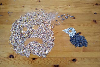 Why you shouldn’t buy bird food with Milo in it