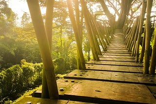 Why & How We Can Bridge Divides Together: Actions for Community-Led Futures