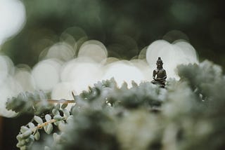 My Place of Zen