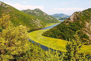 Guardians of the Lake Skadar: Protecting the Wildlife at the Edges of Europe