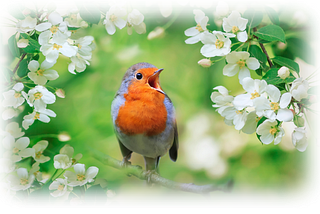 Long Live the Spring Birdsong!