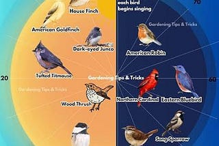 Thinking Citizen Blog — Dawn Chorus Versus Dusk Chorus, National Rivers, Six Stamens, One Pistil