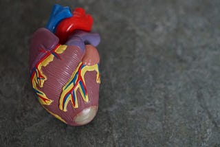 A heart modal is lying on floor