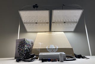 The 5 Best LED Grow Lights to Use for Indoor Plants and Greenhouse Growing 2021
