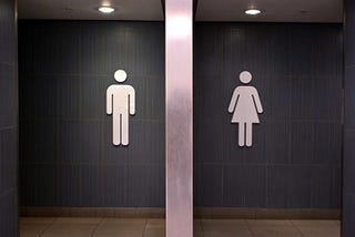 Into the loo…Ladies style
