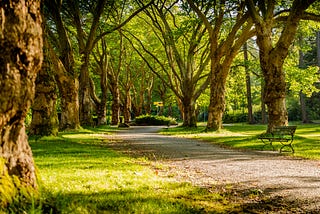 European Day of Parks 2023: “Building on Our Roots”