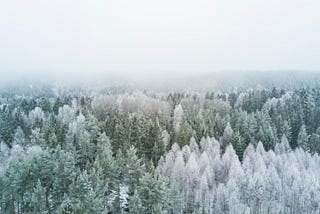 Parlons décembre
