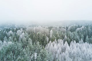 Parlons décembre