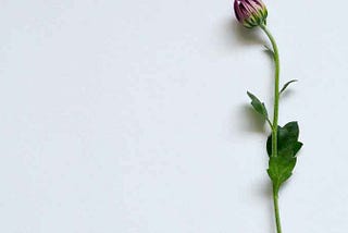 Reduce complexity, embrace simplicity