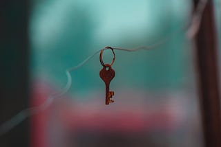 Photograph of a single key on a key chain loop, suspended from a thin, twisted wire passing horizontally through the loop.