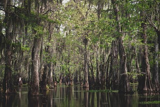 The Lagoon