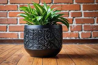 black-plant-pot-1