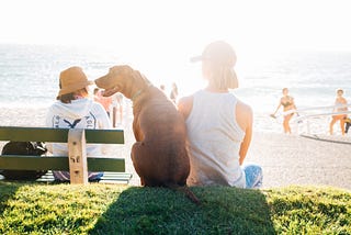 A woman sitting with her dog on the beach