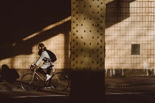 Work and Life: The Dutch Paradox