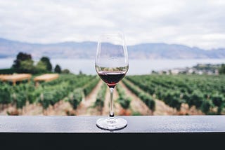 Glass of wine with vineyard in the background