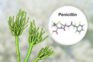 Penicillin — An Accidental Discovery
