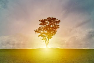 Building Community Beyond Empire