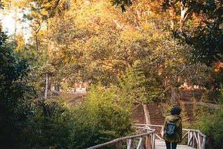 How a regular evening walk makes us physically fit and healthy