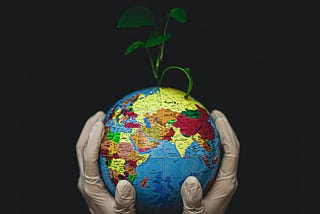 Globe of the earth held in hands wearing latex surgical gloves and a green shoot growing from the top.