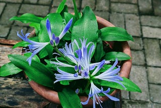 A Man’s Red Flags: 3 Obvious Signs He’s Slept With Many Women