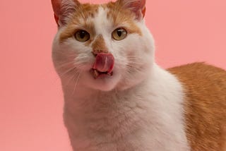 Why Cats Must Lick Their Butts