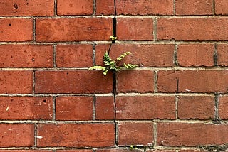 Stop Chasing Happiness. Become Load-Bearing.