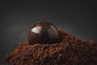 chocolate truffle in cocoa powder