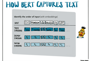 Alternative text The visualization shows how BERT understands the text. With BERT, you identify the order of the input. You give the model information about different embedding layers (the tokens (BERT uses special tokens ([CLS] and [SEP]) to make sense of the sentence), the positional embedding (where each token is placed in the sentence), and the segment embedding (which gives you more info about the sentences to which the tokens belong).