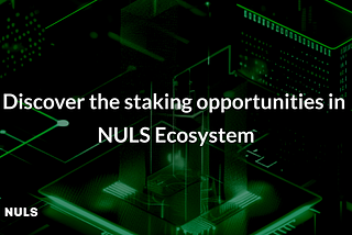 Discover the Staking Opportunity in NULS Ecosystem