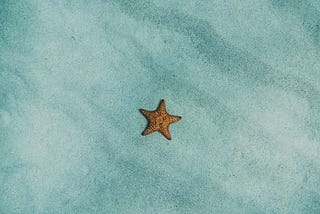The Weight of Being Noticed, The Ease of Being Forgotten