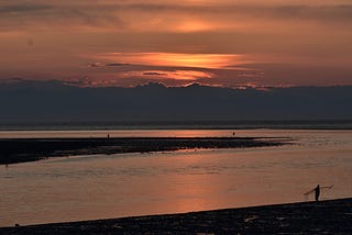 Alaskan Sockeye Fishing Currently in Decline