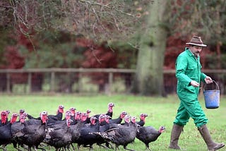 Why the food we eat will determine the future of life on Earth