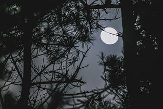 the moon was never lonely, it just learned to shine for no one