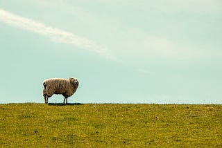 Preguntas que deberías hacerte antes de migrar a la nube pública