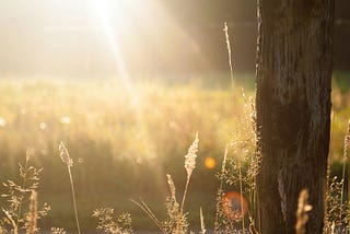 10 Days to a More Confident You: Building Self-Esteem Through Daily Practices