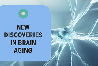 Unraveling the Mysteries of Aging in the Brain: What New Research Reveals